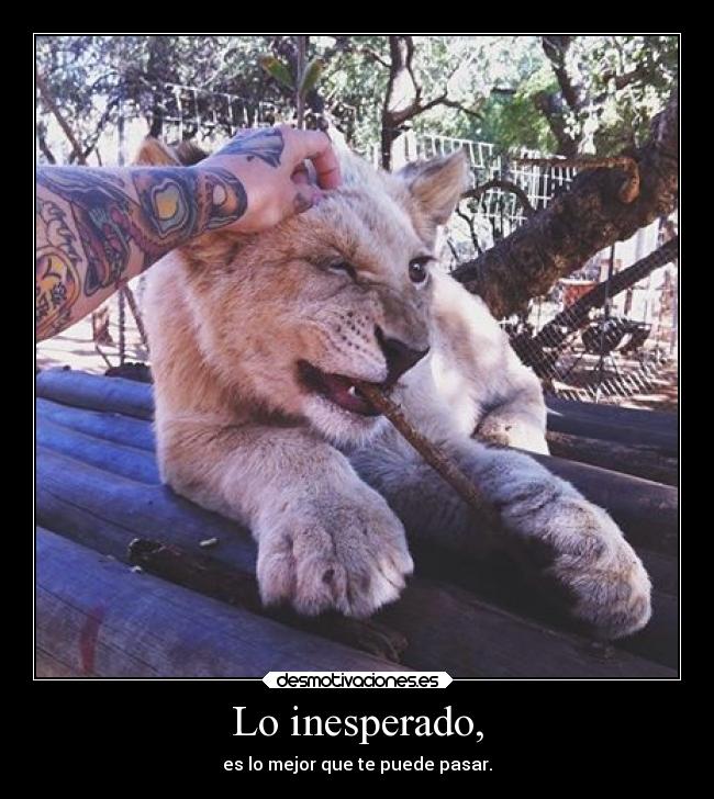 Lo inesperado, - 