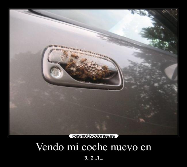 Vendo mi coche nuevo en - 3...2...1...