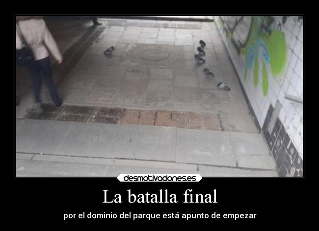 carteles humor batalla final unocontracinco palomas desmotivaciones