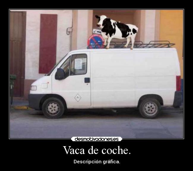 Vaca de coche. - 