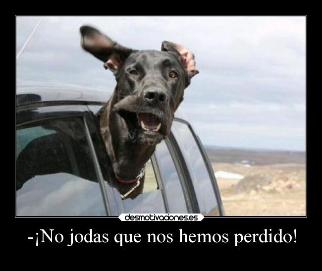 -¡No jodas que nos hemos perdido! -