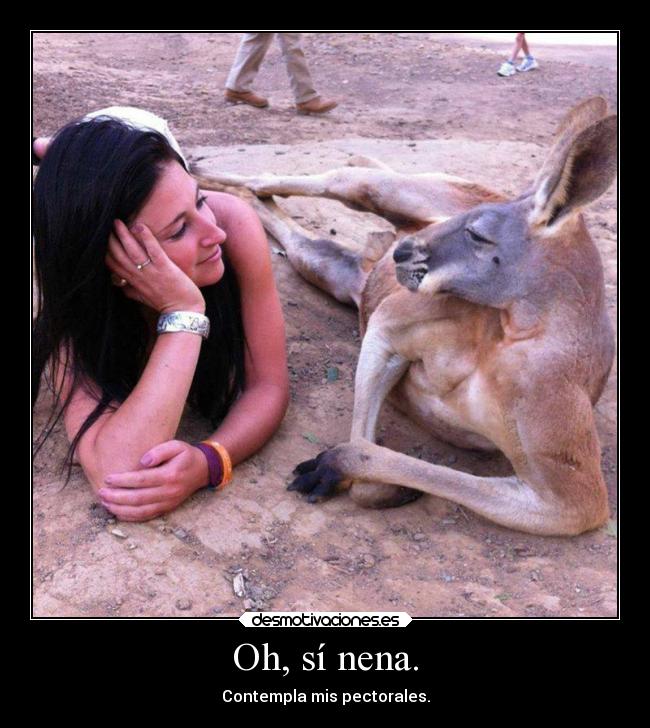 carteles humor c2dk leer con voz pervertida desmotivaciones