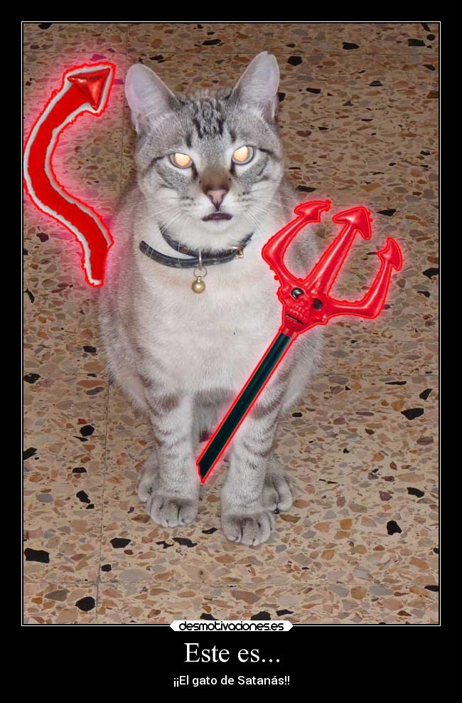 Este es... - ¡¡El gato de Satanás!!