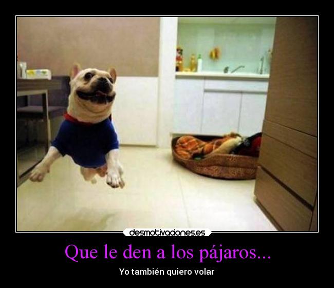 carteles humor desmotivaciones