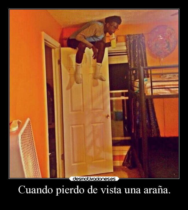 Cuando pierdo de vista una araña. -