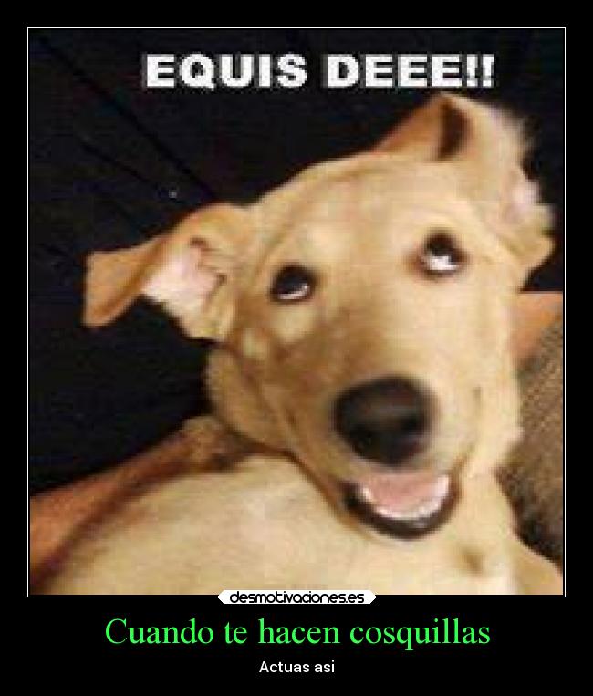 Cuando te hacen cosquillas - Actuas asi