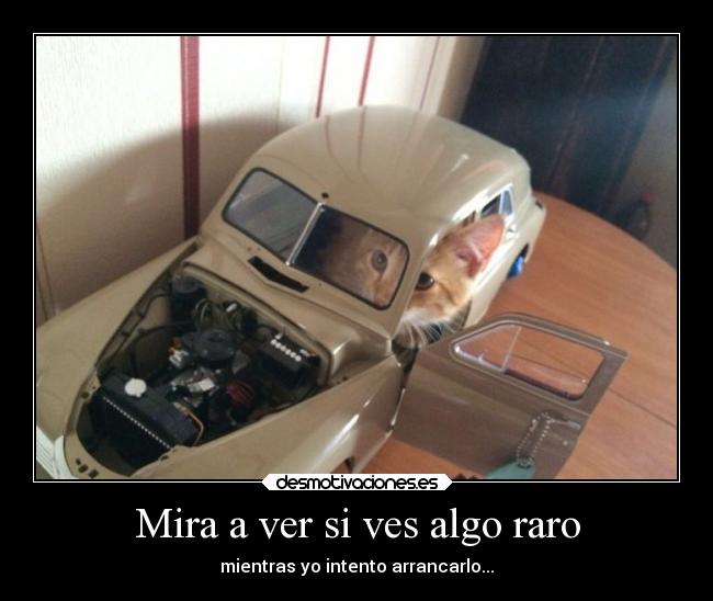 Mira a ver si ves algo raro -