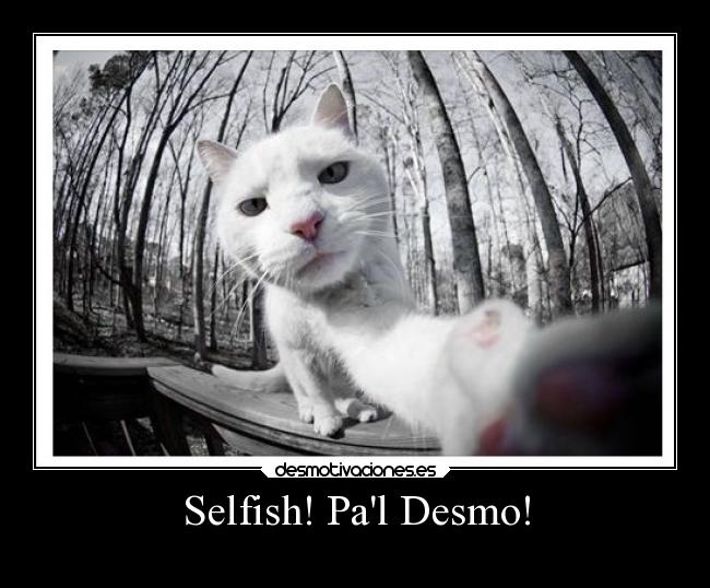 Selfish! Pal Desmo! - 