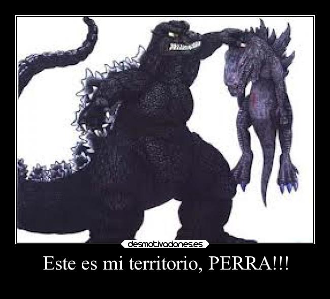 Este es mi territorio, PERRA!!! -