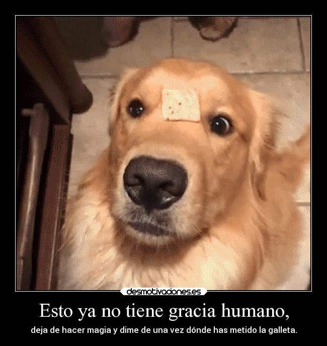Esto ya no tiene gracia humano, - 