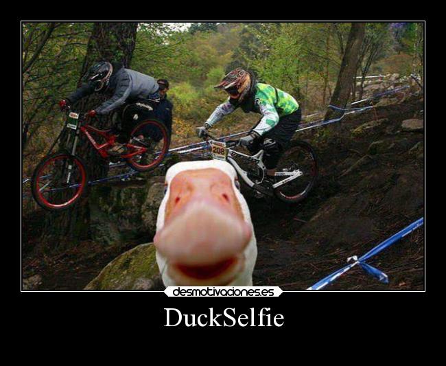 DuckSelfie - 