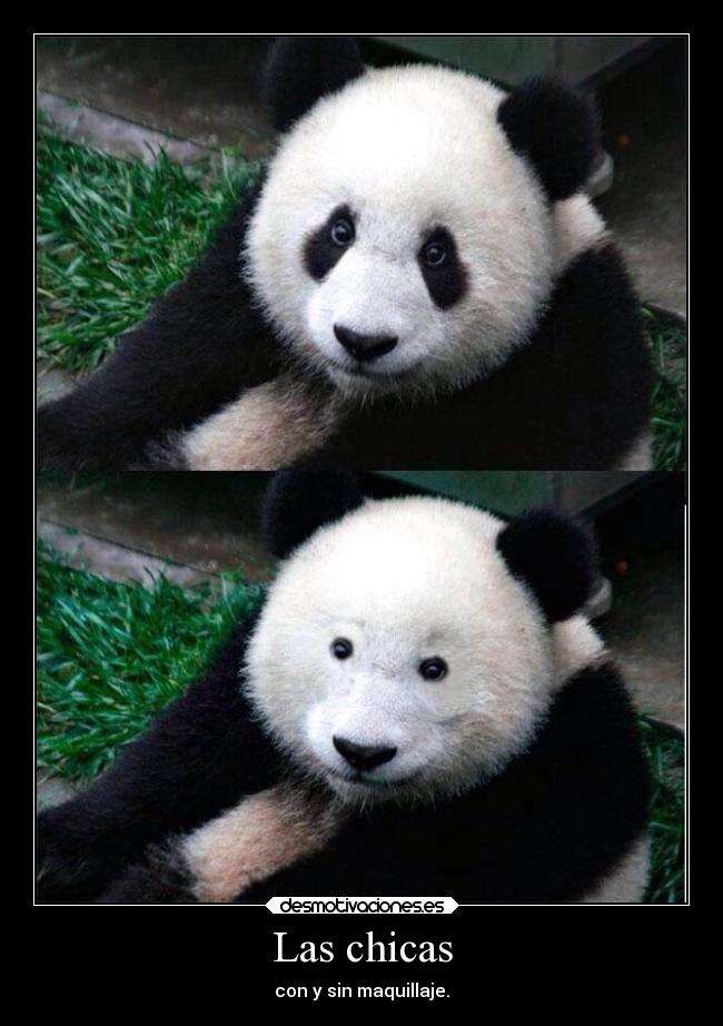 carteles humor imaginacion graciosas pandafeliz blablabla desmotivaciones