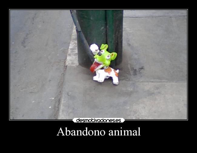 Abandono animal -