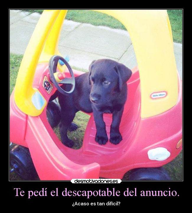 Te pedí el descapotable del anuncio. - 