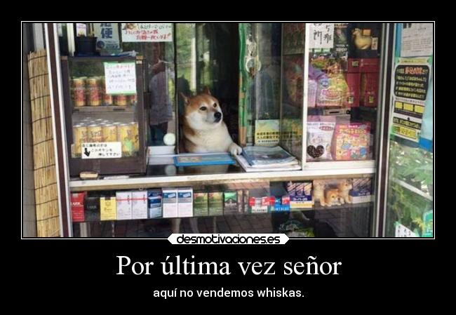 carteles humor perrosexy desmotivaciones