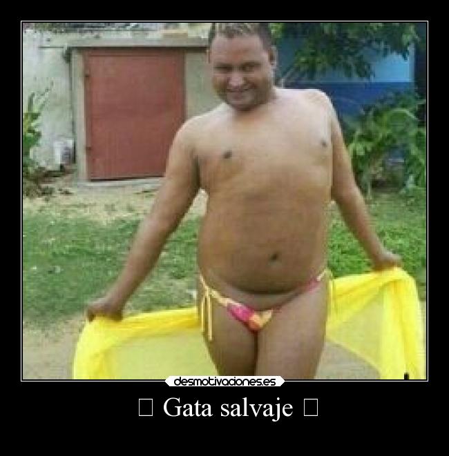  Gata salvaje  - 