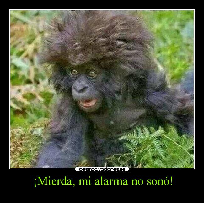 ¡Mierda, mi alarma no sonó! - 