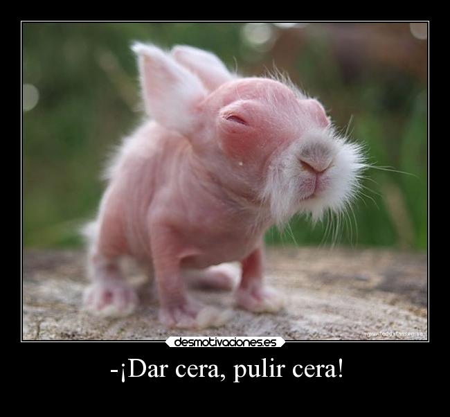 -¡Dar cera, pulir cera! - 