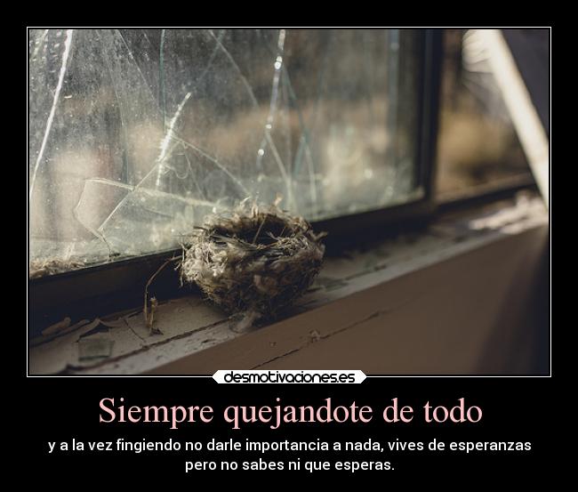 carteles ignorancia desmotivaciones guebolucionarios tururu desmotivaciones