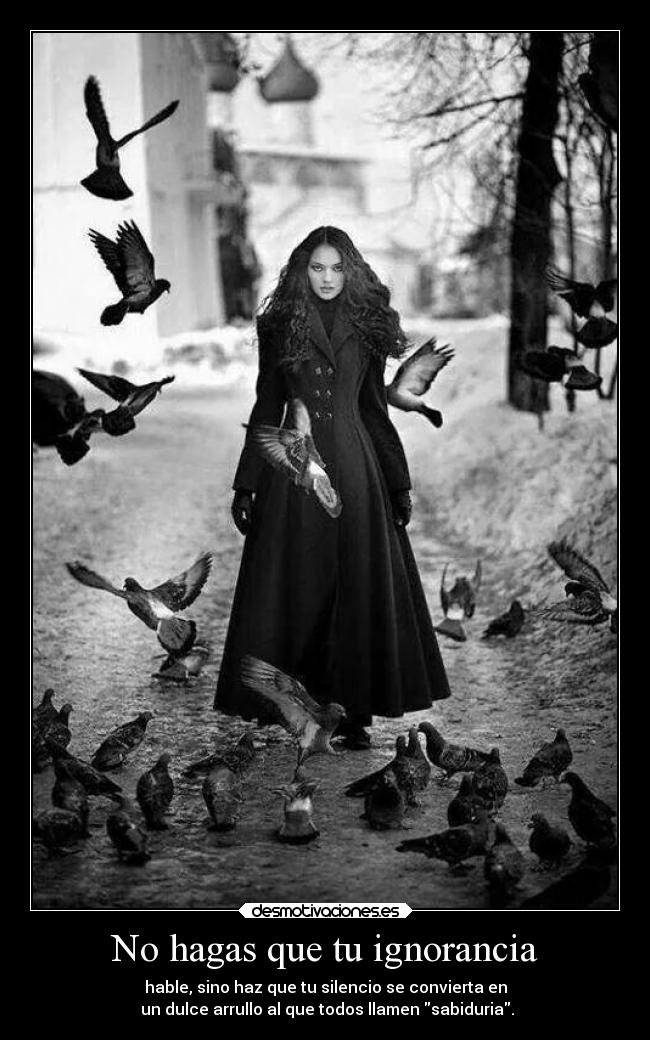 carteles ignorancia vida ignorancia desmotivaciones sabiduria desmotivaciones