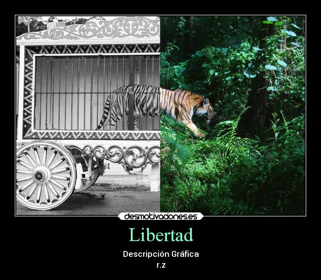 Libertad - Descripción Gráfica
r.z