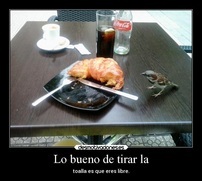 carteles libertad desmotivaciones