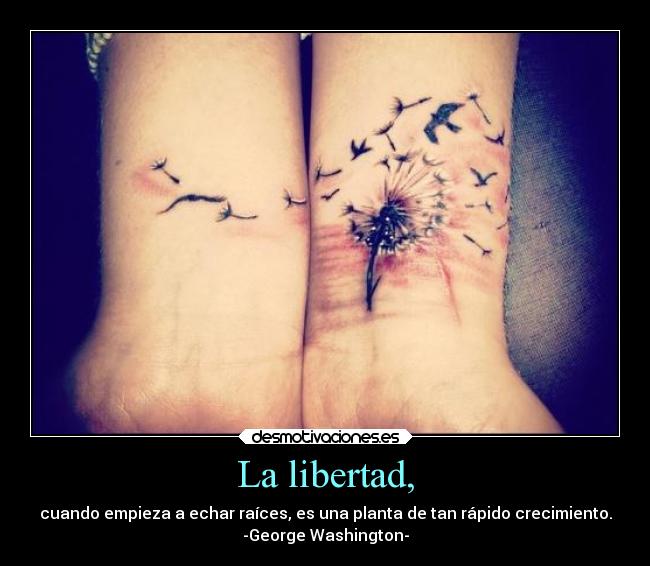 La libertad, - cuando empieza a echar raíces, es una planta de tan rápido crecimiento.
-George Washington-