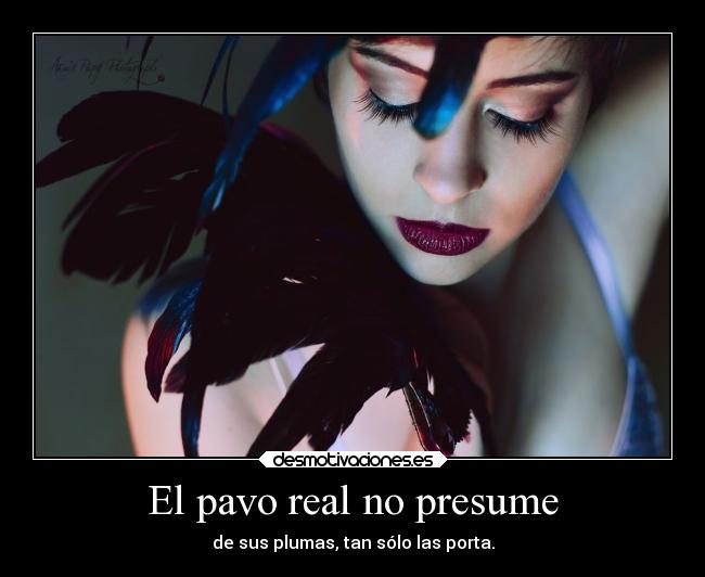 El pavo real no presume - de sus plumas, tan sólo las porta.