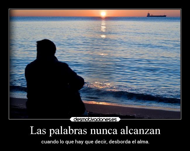 Las palabras nunca alcanzan - 