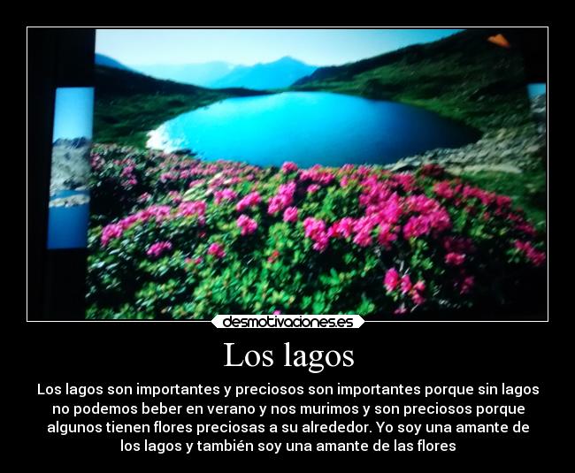 Los lagos - Los lagos son importantes y preciosos son importantes porque sin lagos
no podemos beber en verano y nos murimos y son preciosos porque
algunos tienen flores preciosas a su alrededor. Yo soy una amante de
los lagos y también soy una amante de las flores