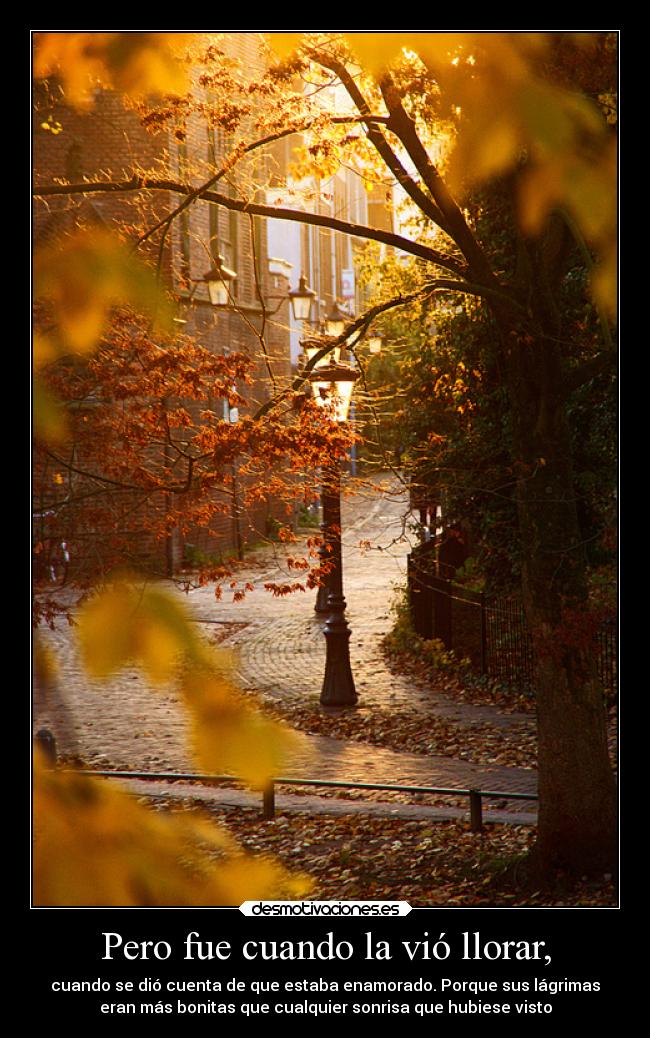 Pero fue cuando la vió llorar, - 