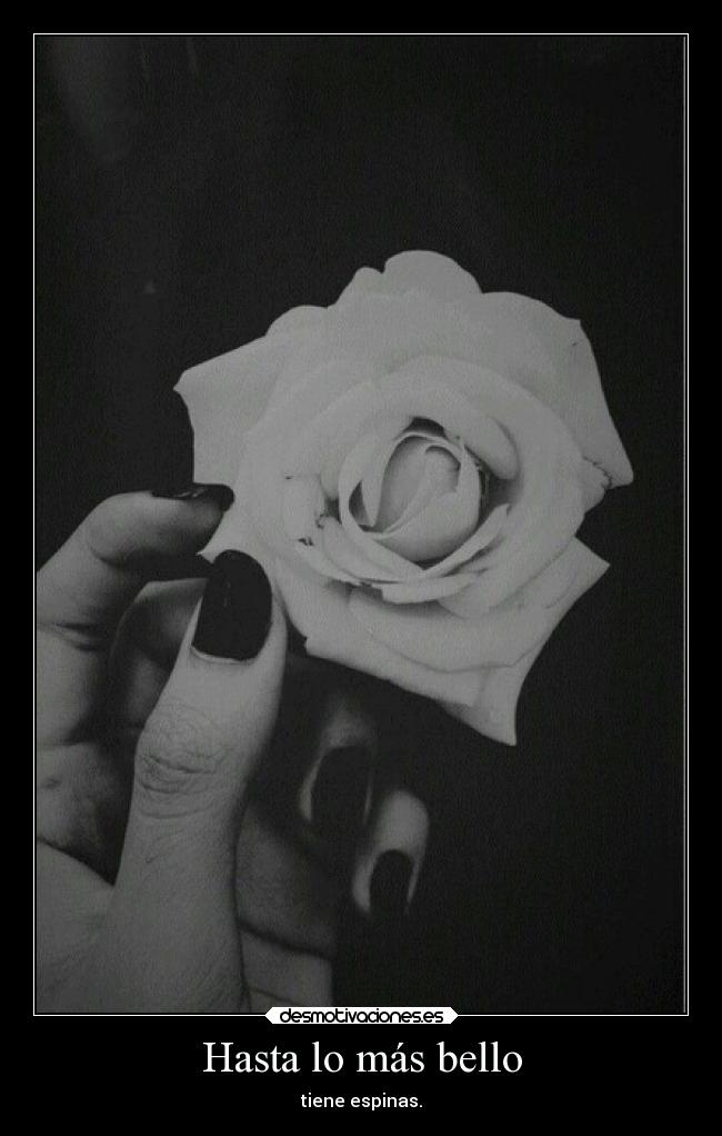 Hasta lo más bello - tiene espinas.