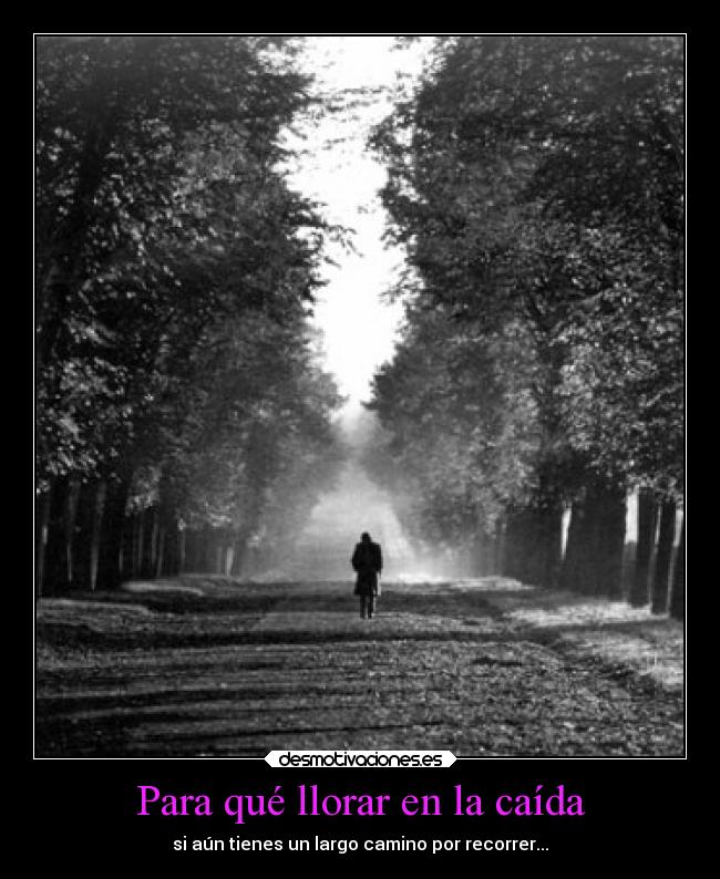 Para qué llorar en la caída - si aún tienes un largo camino por recorrer...