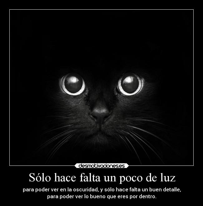 Sólo hace falta un poco de luz - para poder ver en la oscuridad, y sólo hace falta un buen detalle,
para poder ver lo bueno que eres por dentro.