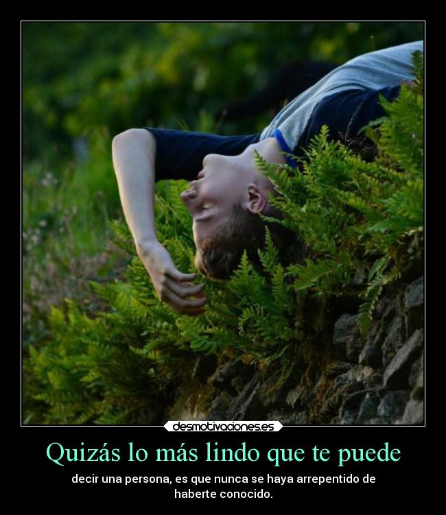 carteles locura desmotivaciones sentimientos vida amigos amistad nohabersearrepentido digounquizas jajaja desmotivaciones