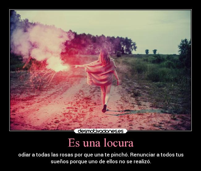 carteles locura motivaciones locura odio suenosrotos desmotivaciones