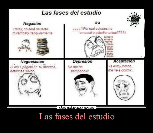 Las fases del estudio -