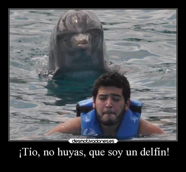 ¡Tío, no huyas, que soy un delfín! - 
