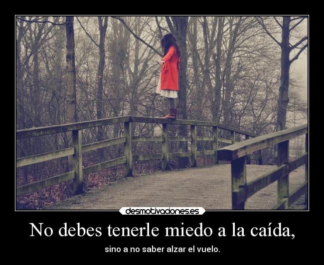 No debes tenerle miedo a la caída, - sino a no saber alzar el vuelo.