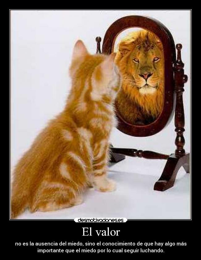 El valor - no es la ausencia del miedo, sino el conocimiento de que hay algo más
importante que el miedo por lo cual seguir luchando.
