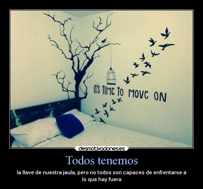 carteles miedo vida jaula llave valor desmotivaciones