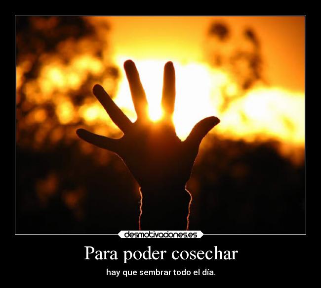 carteles motivaciones desmotivaciones