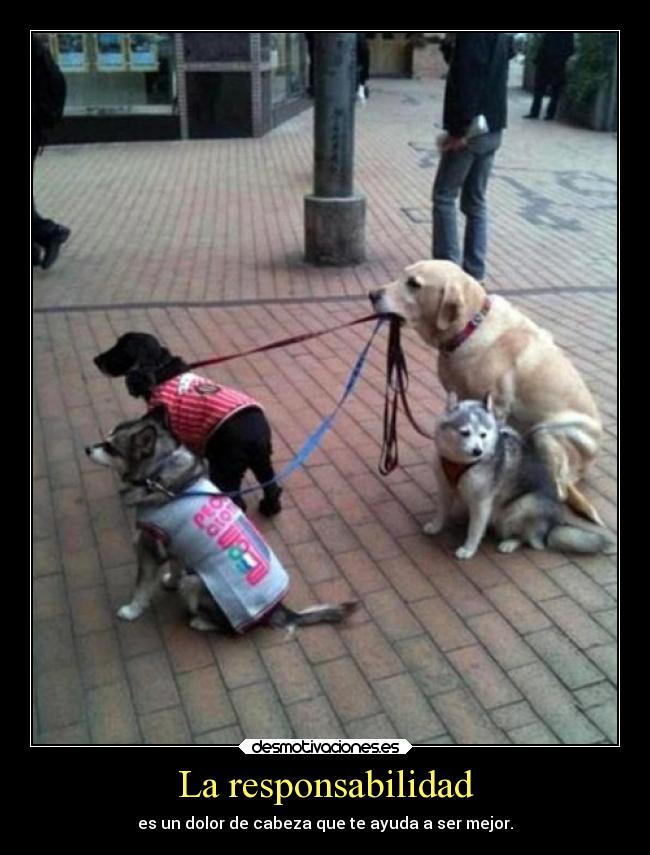 carteles motivaciones desmotivaciones