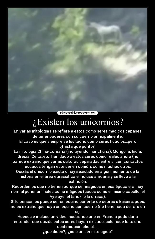 carteles motivaciones internet ideas arte animales amistad mitologia desmotivaciones