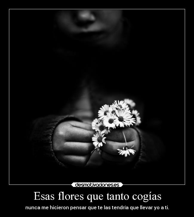 Esas flores que tanto cogías - 