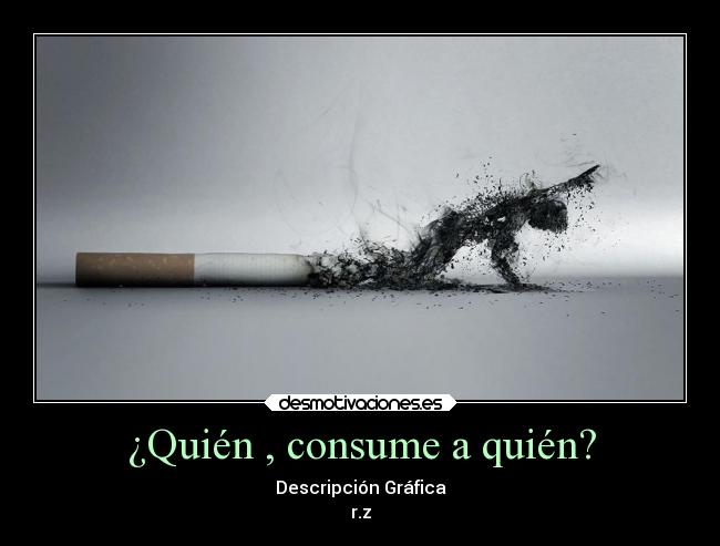¿Quién , consume a quién? - Descripción Gráfica
r.z