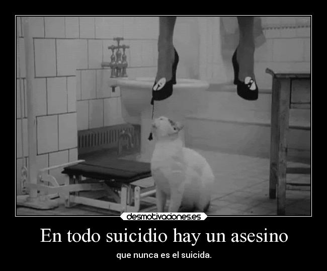 carteles muerte kurara7 desmotivaciones