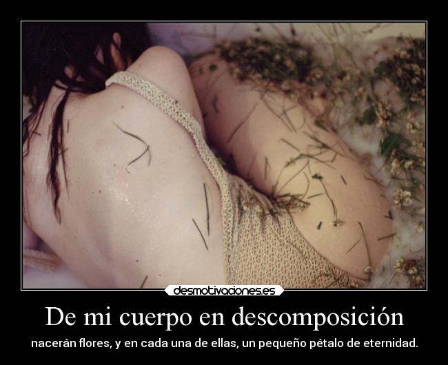 carteles muerte locura soledad vida productodemipropiamente desmotivaciones