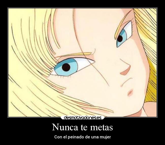 carteles mujer vida graciosas humor anime numero18 dbz dragonballz desmotivaciones