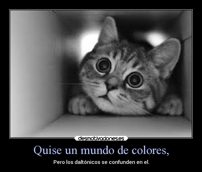 Quise un mundo de colores, - Pero los daltónicos se confunden en el.
